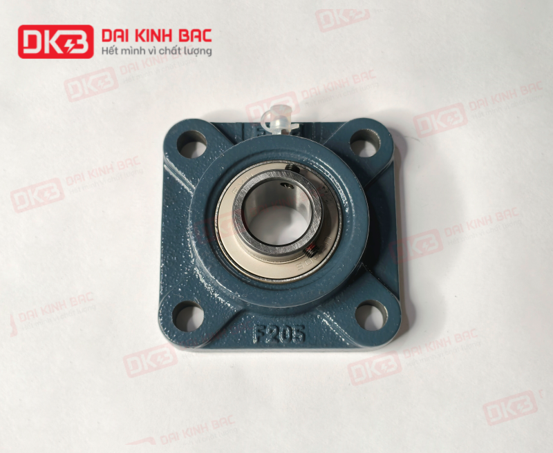 -goi do-vong-bi-FYH UCF