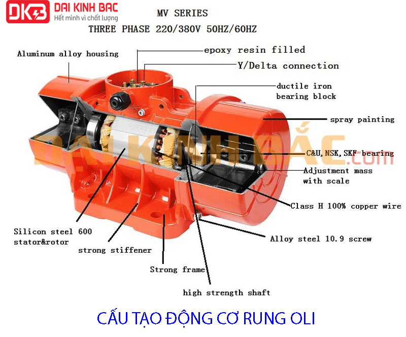 cấu tạo động cơ rung oli mve 300 3N 0.27Kw