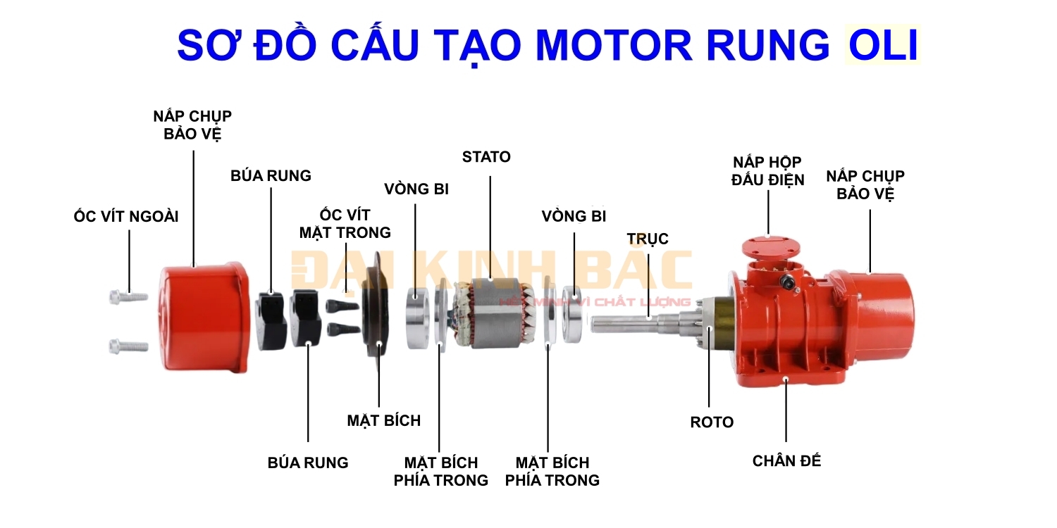 cấu tạo động cơ rung Oli 0.5KW