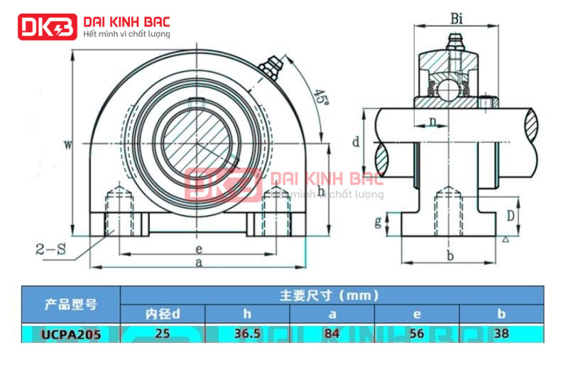 gối đỡ vòng bi ucpa 205