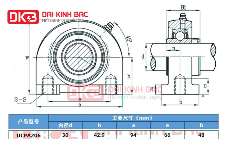 gối đỡ vòng bi ucpa 206