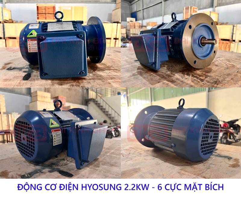 dong co die hyosung 2.2kw 6 cuc mat bich