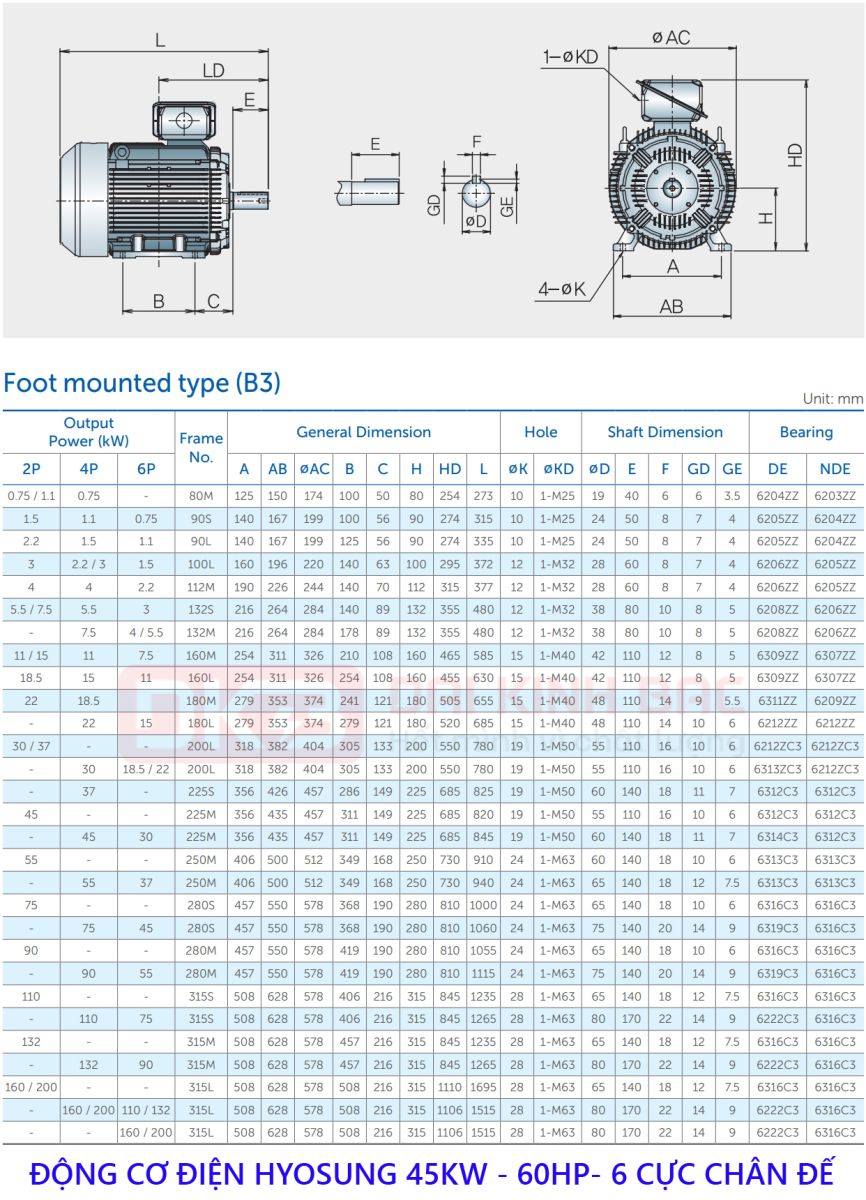 ban ve dong co dien hyosung 45kw chan de