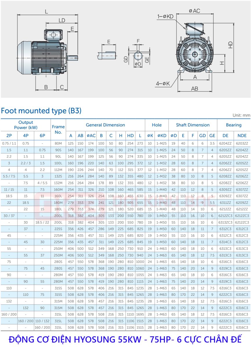 ban ve dong co dien hyosung 55kw chan de