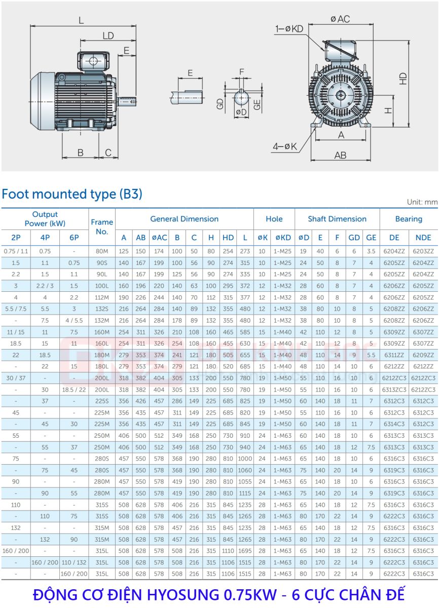 catalog dong co dien hyosung 0.75kw 6 cuc chan de