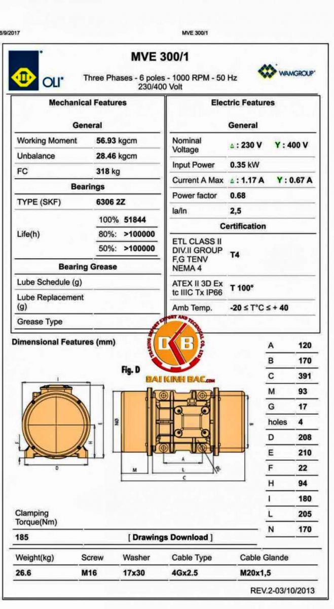 bản vẽ động cơ rung Oli 0.35KW 6 cực