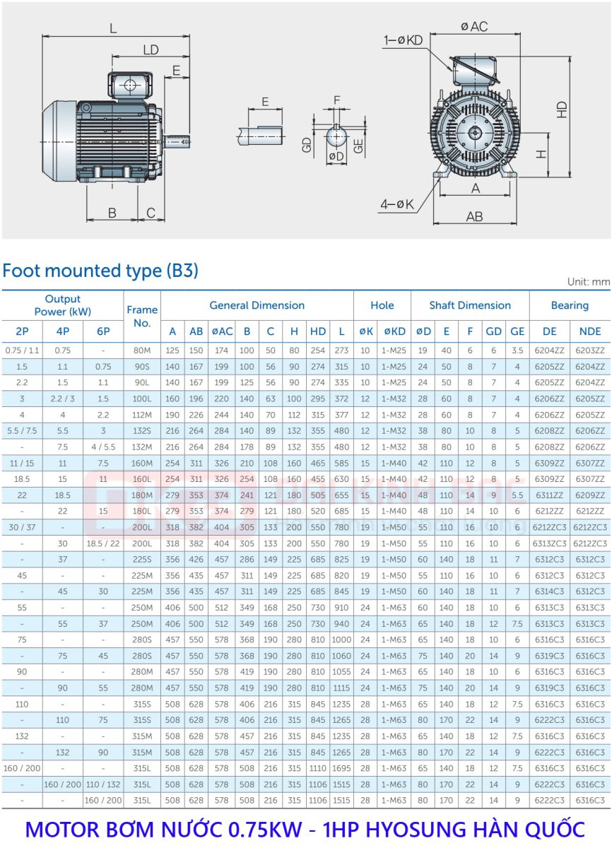 catalog motor bom nuoc hyosung 0.75kw chan de