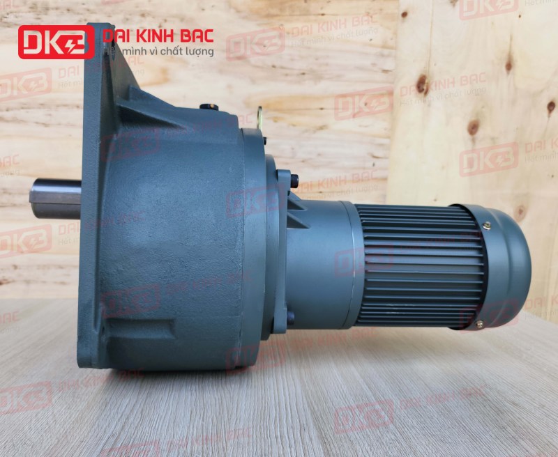 DD-dong-co-giam-toc-mat-bich-Wanshsin-GV50-750W-14000S