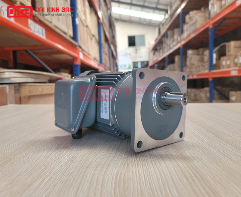 Động Cơ Giảm Tốc Mặt Bích Wanshsin GV18-100W-5S