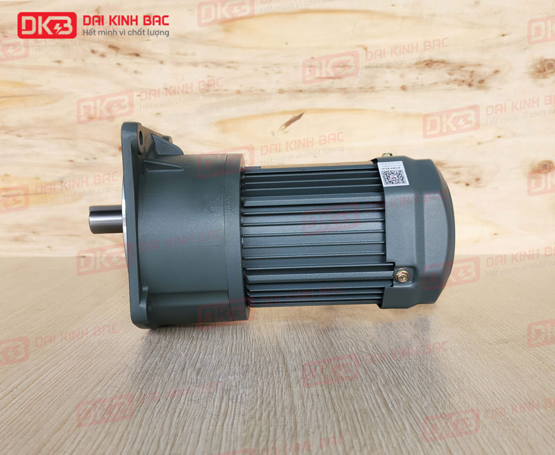 Động Cơ Giảm Tốc Mặt Bích Wanshsin GV28-100W-200S