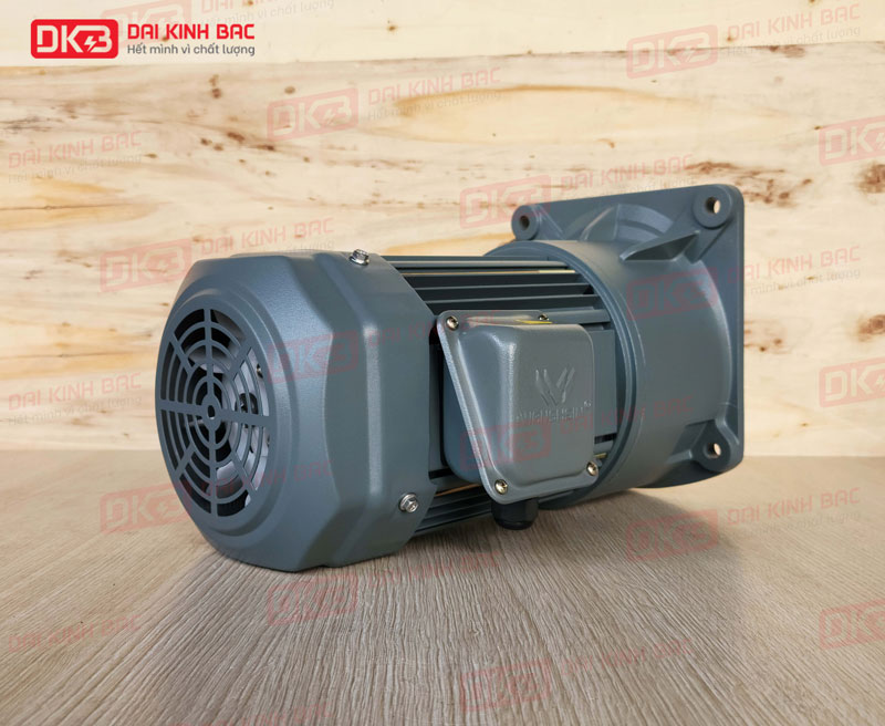 Động cơ giảm tốc mặt bích wanshsin gv40-2200w-30s
