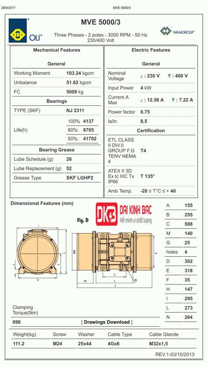 bản vẽ động cơ rung oli 4KW