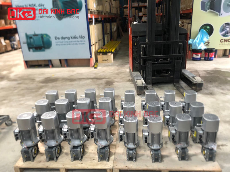 Hộp Giảm Tốc Trục Vít Bánh Vít Cao Cấp NMRV 030 Của BGM