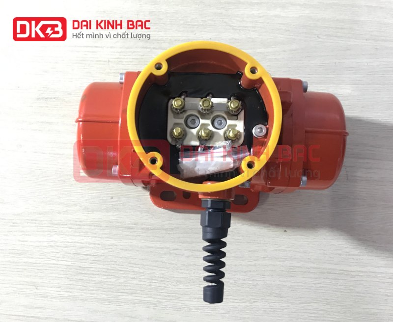 ảnh chụp động cơ rung mini tại kho Đại Kinh Bắc