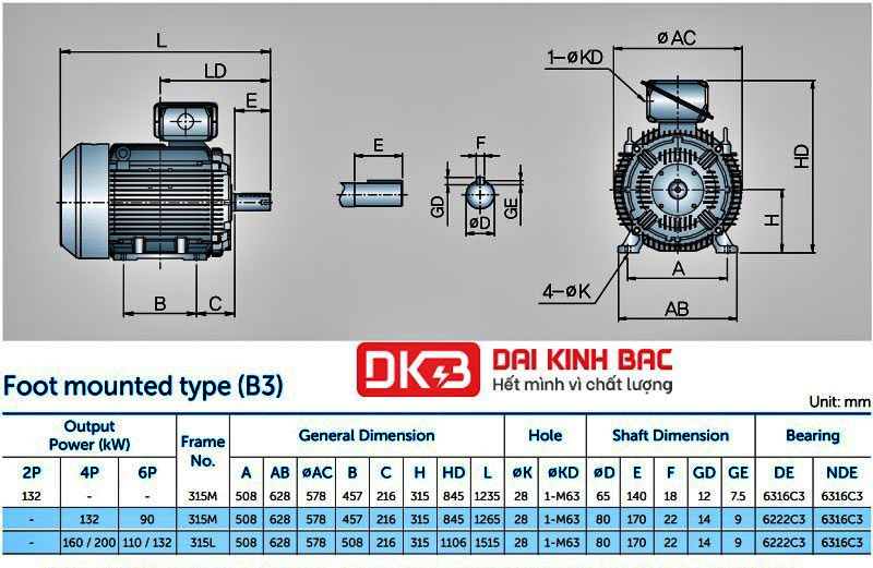 Động Cơ Bơm Nước 132KW - 180HP Hyosung Hàn Quốc