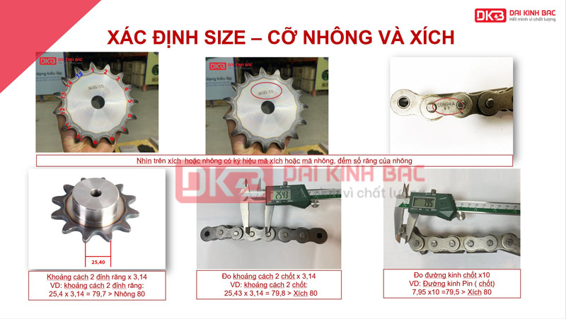 Xích Đơn Dongbo DBC 100-1 Hàn Quốc