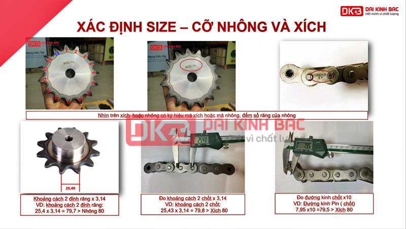 cach-chon-size-xich-dongbo-dbc-han-quoc