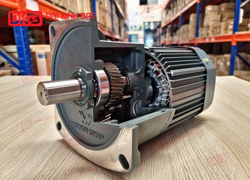 cau-tao-dong-co-giam-toc-mat-bich-Wanshsin-GV22-200W-100S