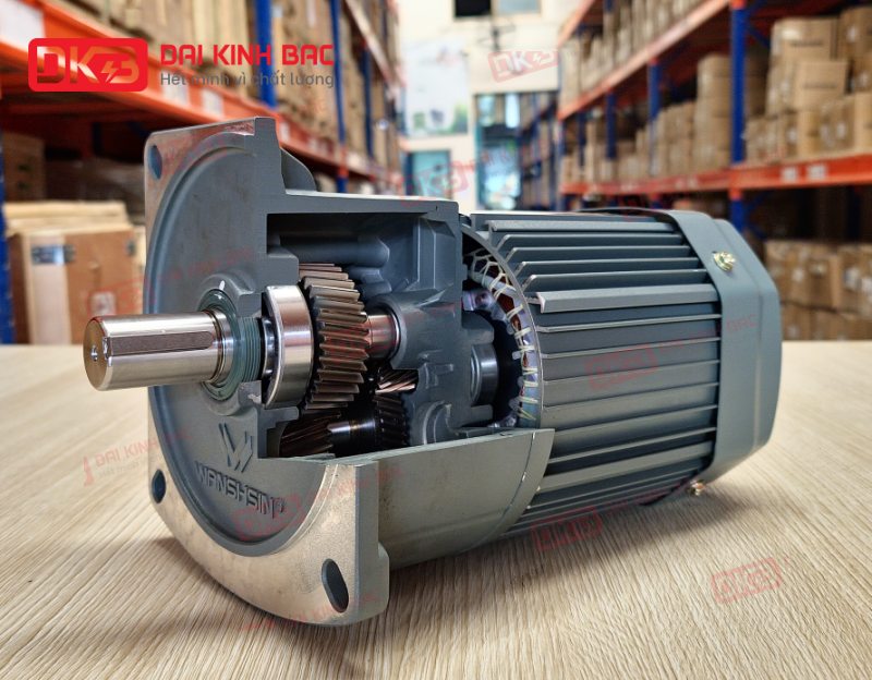 cau-tao-dong-co-giam-toc-mat-bich-Wanshsin-GV28-200W-120s-