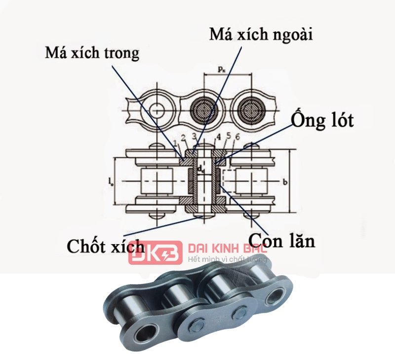 Xích Đơn Dongbo DBC 100-1 Hàn Quốc