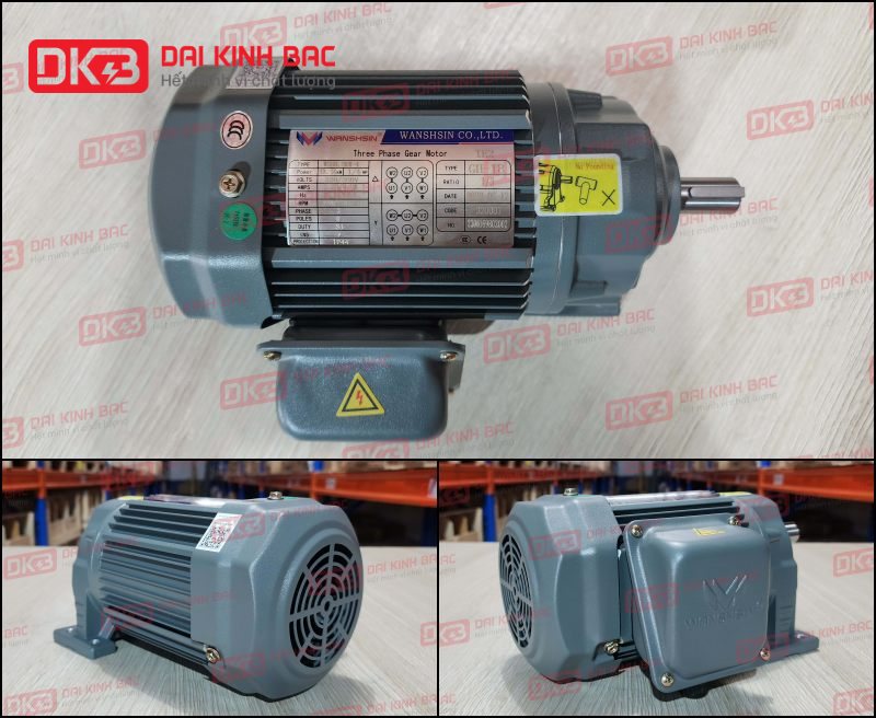 Động cơ giảm tốc chân đế Wanshsin GH18-100W-25S