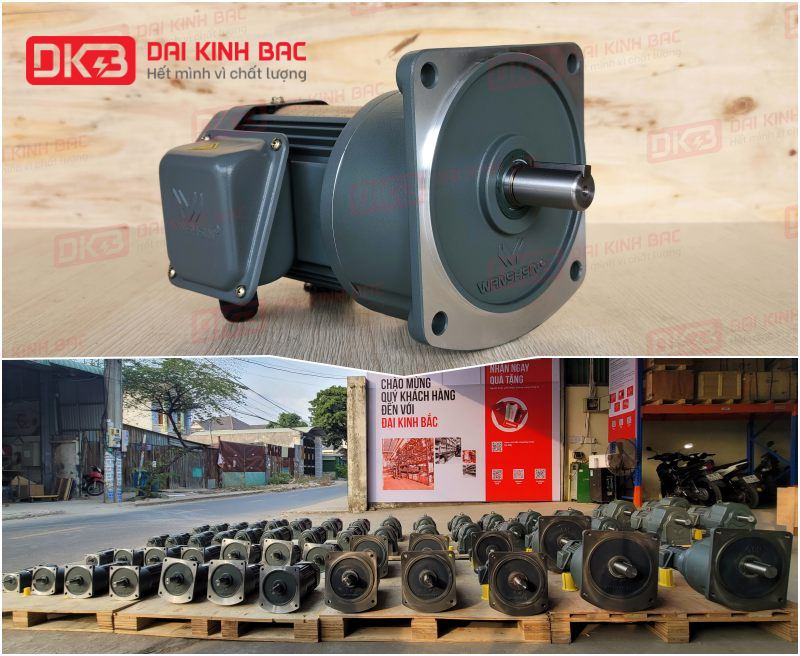 dd-dong-co-giam-toc-mat-bich-Wanshsin-GV22-200W-60s