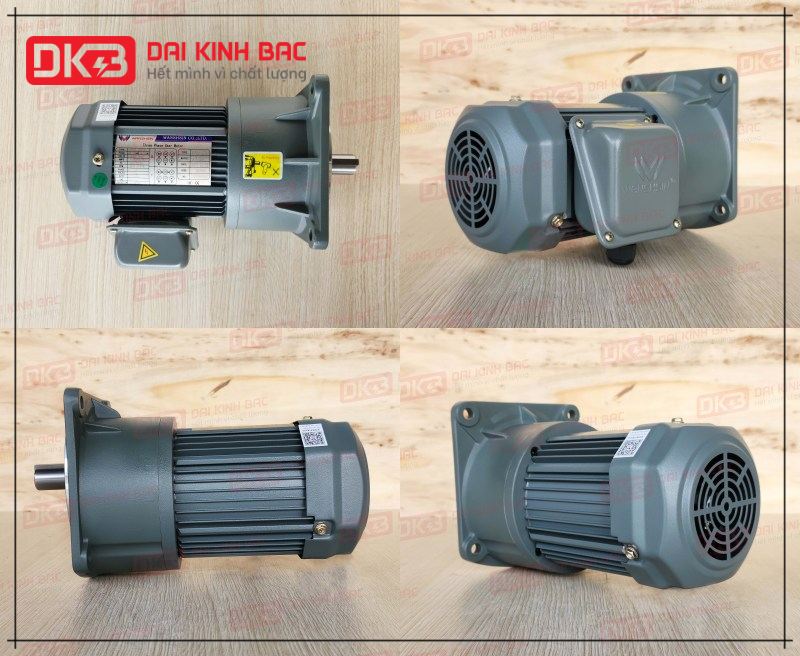 dd-dong-co-giam-toc-mat-bich-Wanshsin-GV22-200W-80s