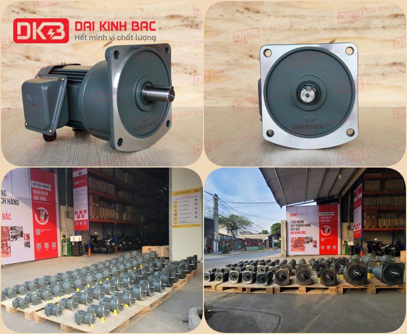 dd-dong-co-giam-toc-mat-bich-Wanshsin-GV28-200W-120s