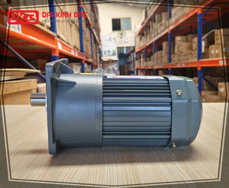 dd-dong-co-giam-toc-mat-bich-Wanshsin-GV28-750W-15S