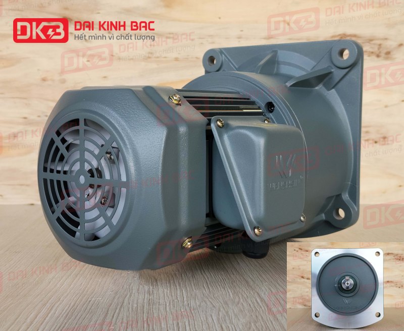 dd-dong-co-giam-toc-mat-bich-Wanshsin-GV32-750W-100S