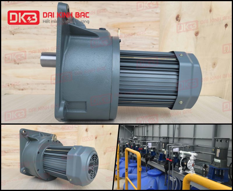Động cơ giảm tốc mặt bích Wanshsin GV50-3700W-120S