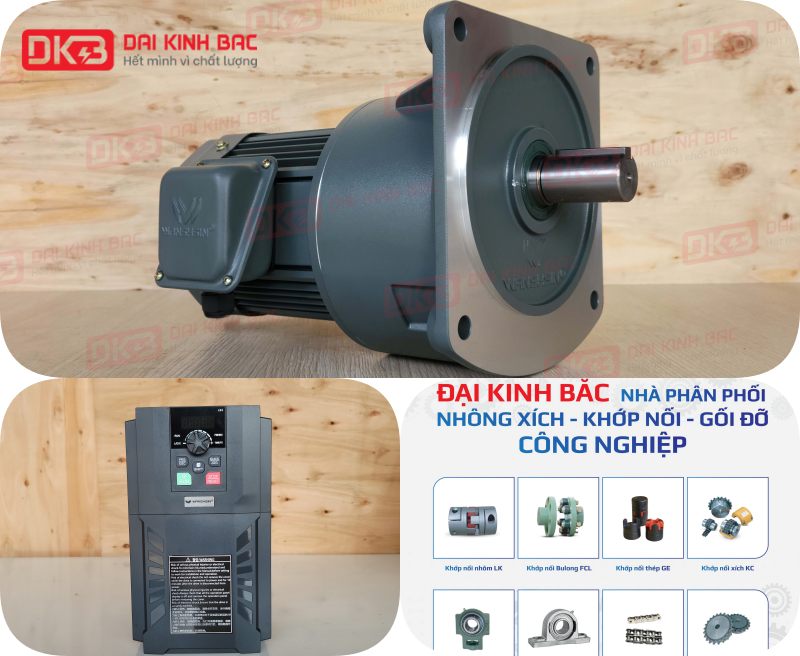 Động Cơ Giảm Tốc Mặt Bích Wanshsin GV22-100W-150S