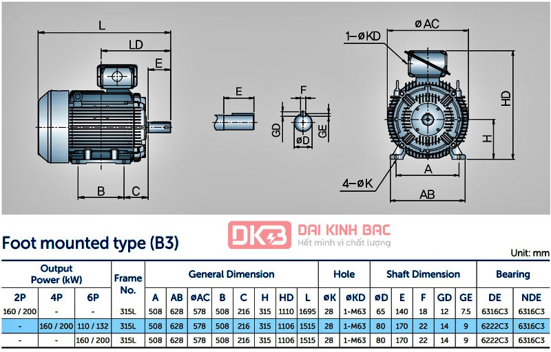 Động Cơ Bơm Nước 160KW - 200HP Hyosung Hàn Quốc