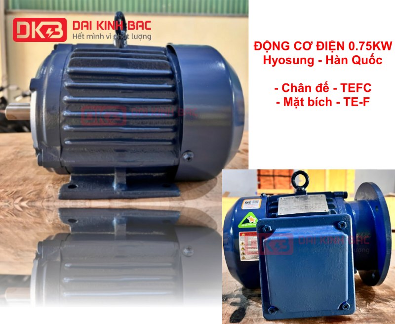 dong-co-dien-0-75kw-1hp-hyosung-han-quoc-