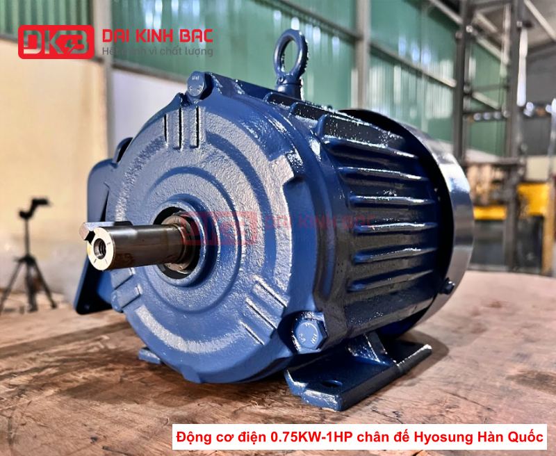 dong-co-dien-0-75kw-1hp-hyosung-han-quoc-chan-de