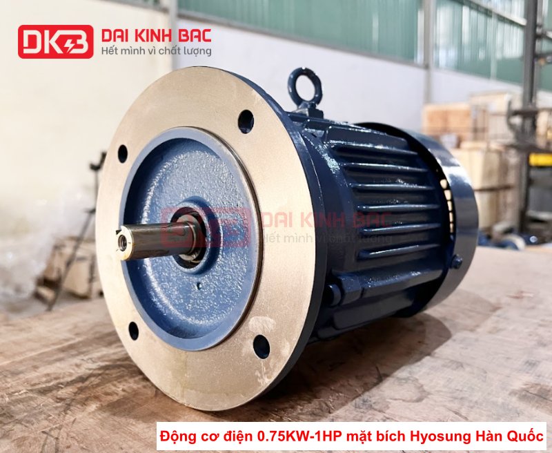 dong-co-dien-0-75kw-1hp-hyosung-han-quoc-mat-bich