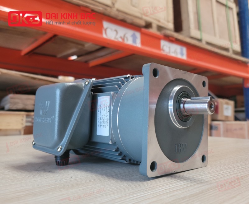 dong-co-giam-toc-mat-bich-Wanshsin-GV18-200W-15S