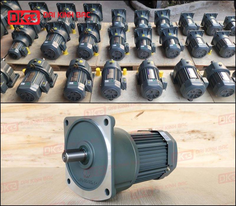 dong-co-giam-toc-mat-bich-Wanshsin-GV18-200W-20S-