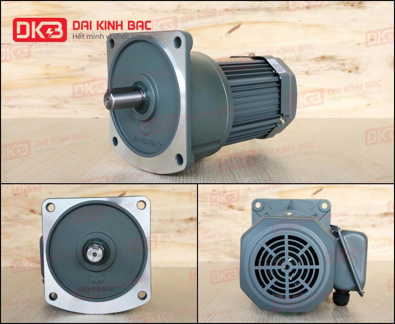 dong-co-giam-toc-mat-bich-Wanshsin-GV18-200W-20S