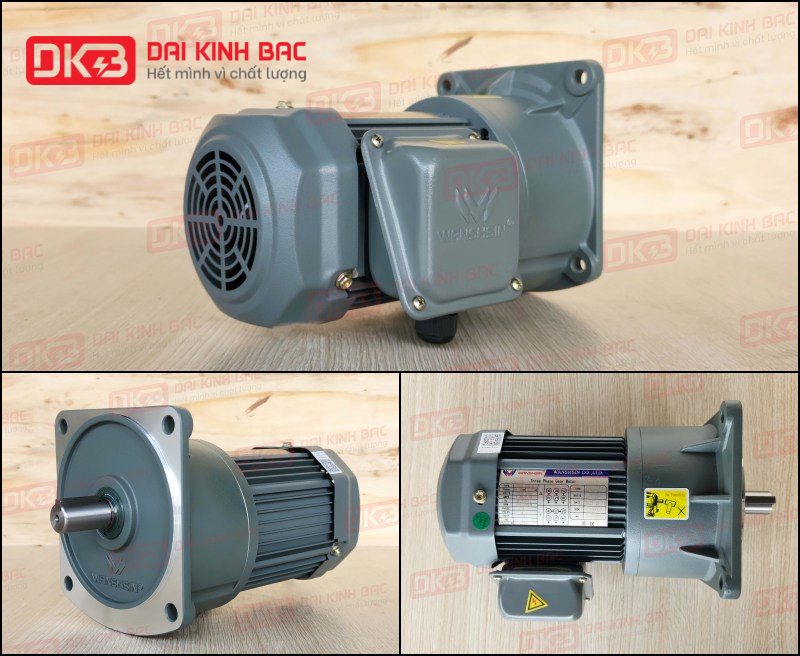 dong-co-giam-toc-mat-bich-Wanshsin-GV22-200W-100S