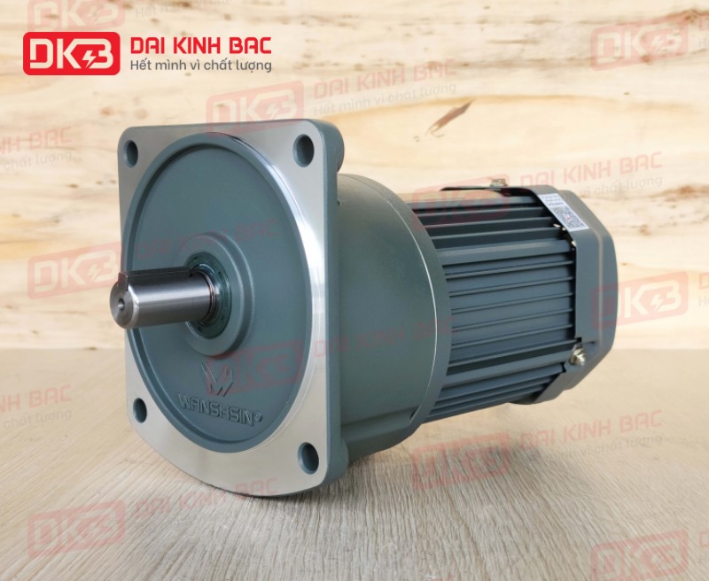 dong-co-giam-toc-mat-bich-Wanshsin-GV22-200W-20S