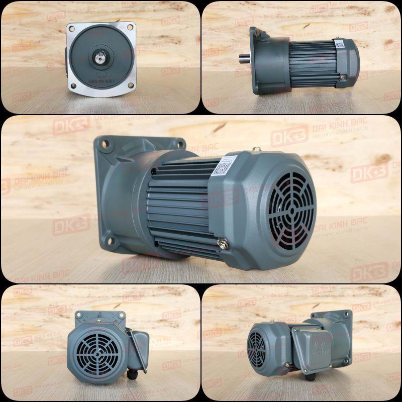 dong-co-giam-toc-mat-bich-Wanshsin-GV22-200W-25S-