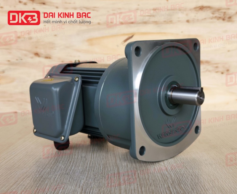 dong-co-giam-toc-mat-bich-Wanshsin-GV22-200W-50S