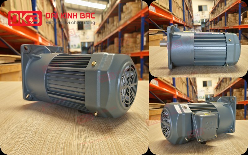 dong-co-giam-toc-mat-bich-Wanshsin-GV28-750W-10S
