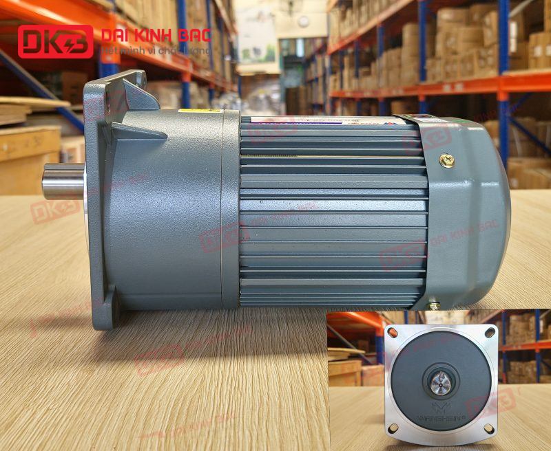 dong-co-giam-toc-mat-bich-Wanshsin-GV28-750W-25S