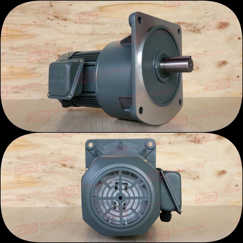 dong-co-giam-toc-mat-bich-Wanshsin-GV32-750W-30S