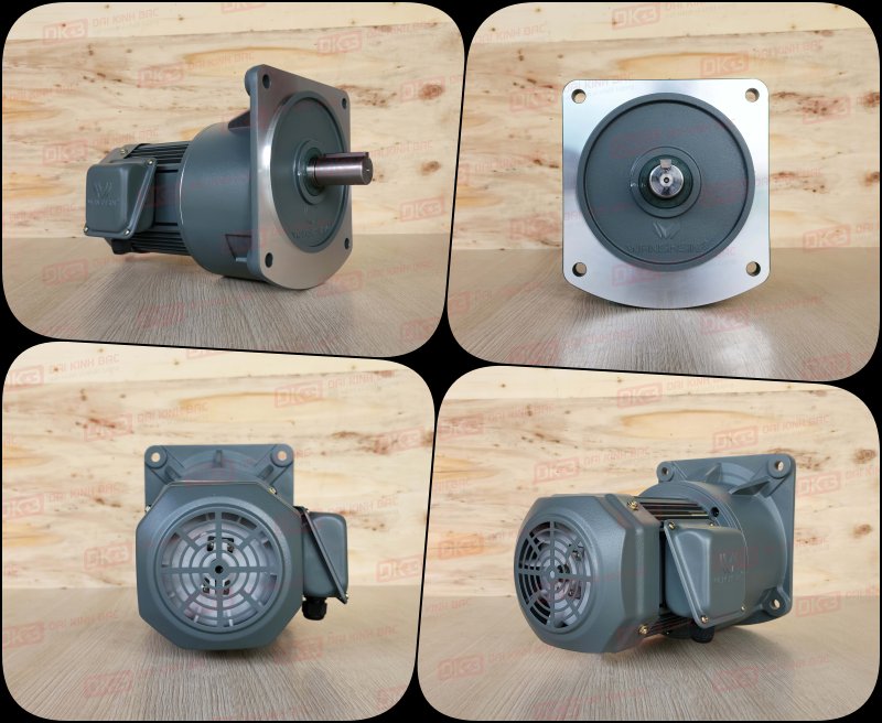 dong-co-giam-toc-mat-bich-Wanshsin-GV32-750W-80S
