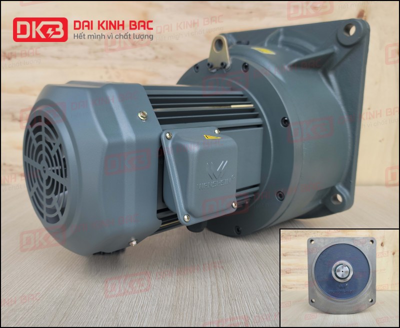 dong-co-giam-toc-mat-bich-Wanshsin-GV40-3700W-15S-