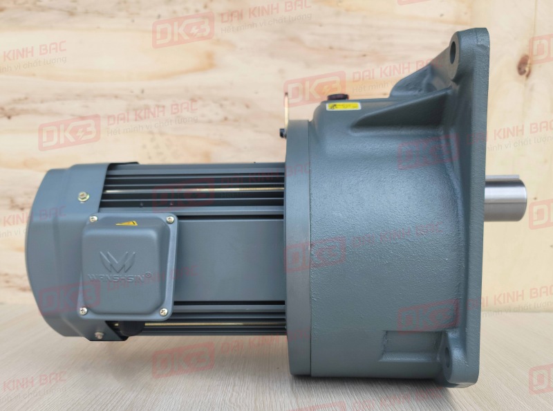 dong-co-giam-toc-mat-bich-Wanshsin-GV40-3700W-15S