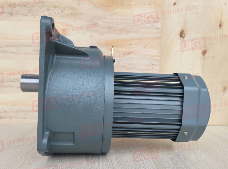 dong-co-giam-toc-mat-bich-Wanshsin-GV40-3700W-20S